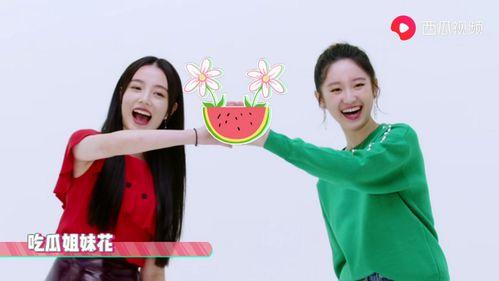 一起吃瓜看视频,一起见证精彩瞬间