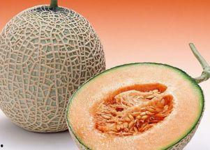 李美玲吃哈密瓜视频,哈密瓜美食之旅