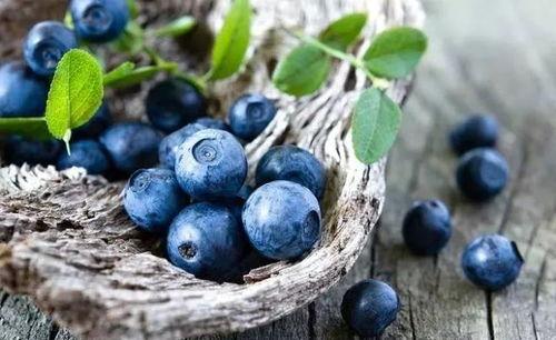 恶魔蓝莓吃瓜视频,揭秘娱乐圈幕后真相