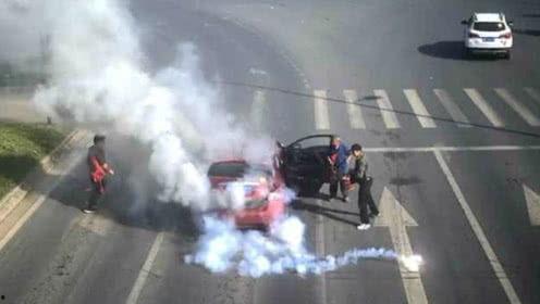 人与人打架吃瓜视频大全,热门打架吃瓜视频大盘点