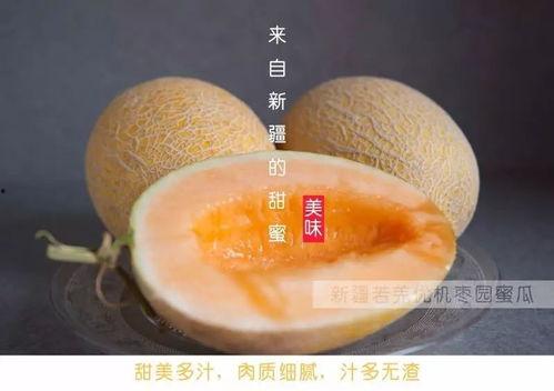 小伙伴吃哈密瓜视频在线观看,哈密瓜视频盛宴