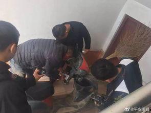 滑县吃瓜事件视频,一场引发热议的网络风波