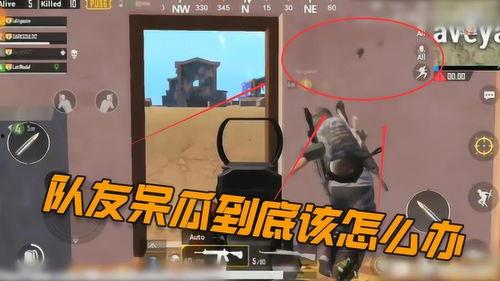 吃鸡呆瓜教学视频大全下载,轻松入门，畅玩绝地求生