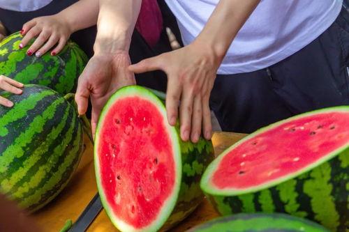 林业大学吃瓜视频,吃瓜视频揭秘校园生活趣事