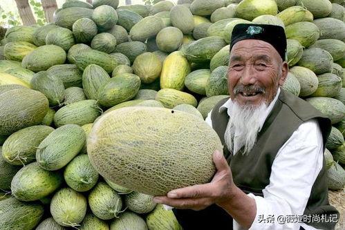 去新疆吃哈密瓜视频讲解,甜蜜之旅，探寻瓜果之乡的秘密