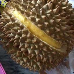 吃瓜不吃籽的蛋仔视频,吃瓜不吃籽，趣味视频带你领略夏日清凉