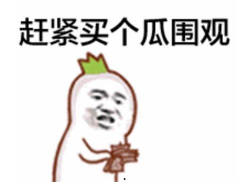 吃瓜群众小辣嘴视频,揭秘热门视频背后的故事