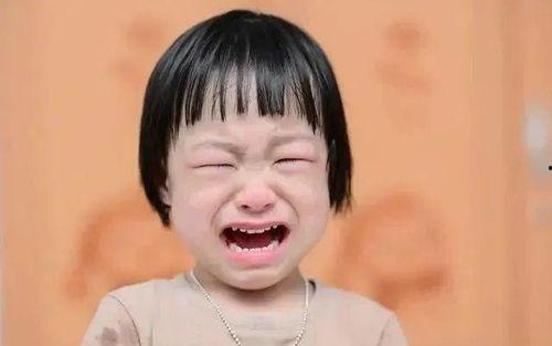 父母红脸吃瓜视频,一场家庭欢乐喜剧的温馨回顾