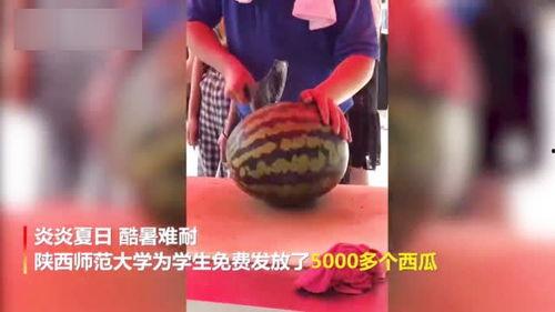 大学吃瓜少女视频