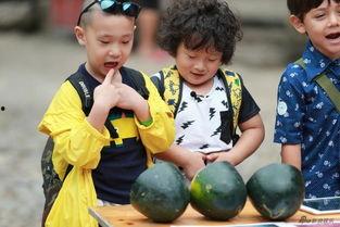 萌娃和爸爸吃瓜视频