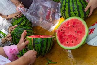 大雪吃瓜的视频