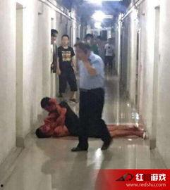 武汉吃瓜学校事件视频,校园风波背后的真相与反思