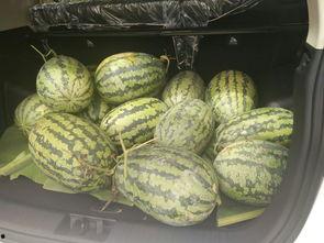 板凳围观吃瓜视频大全,揭秘热门吃瓜视频背后的故事