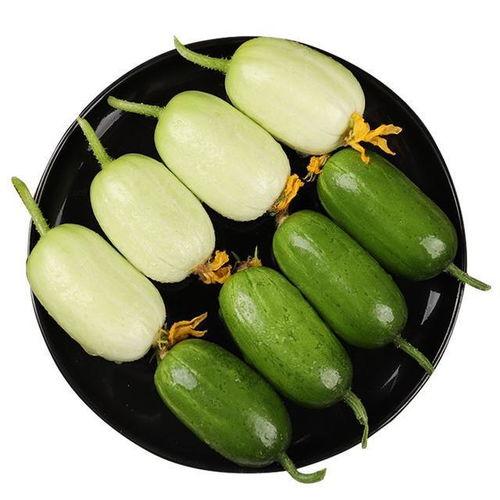 三棱瓜怎么吃最好吃视频,视频教你如何烹饪最佳口感