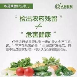 瓜不甜蘸酱吃的热搜视频,网络热议引发味蕾新潮流