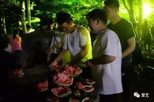 军婚吃瓜事件视频大全,揭秘热门视频背后的真相与争议