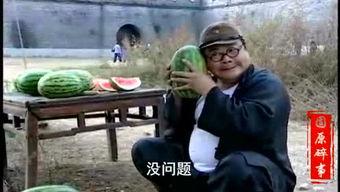 王博粉丝吃瓜视频大全,揭秘娱乐圈幕后故事