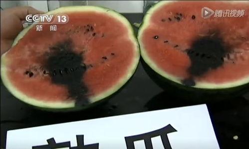 昨晚潮汕吃瓜视频,一场视觉与味蕾的双重盛宴