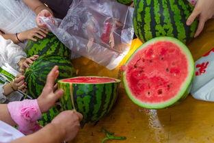 中山最新吃瓜视频