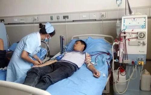 透析病人可吃毛瓜吗视频,毛瓜在饮食中的适宜性探讨