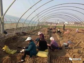 界首公园城吃瓜视频,揭秘公园城里的欢乐时光