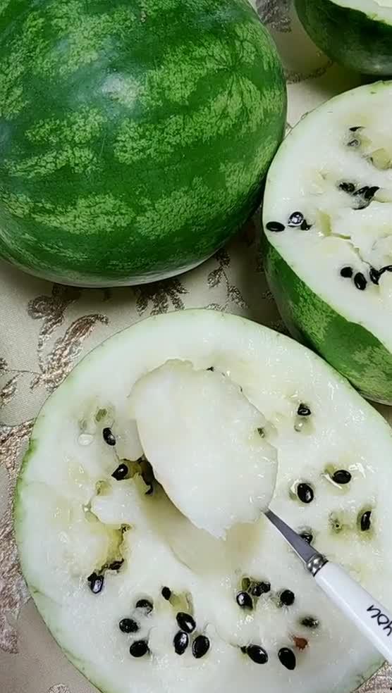 东北吃雪瓜视频大全集,视频大全集带你领略冰爽美味