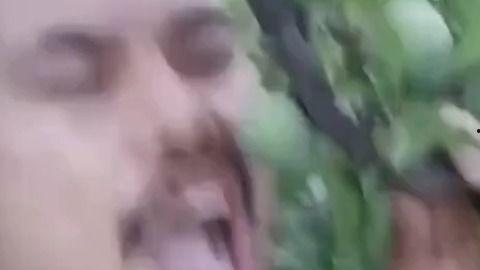 张扬吃瓜视频,揭秘娱乐圈幕后真相