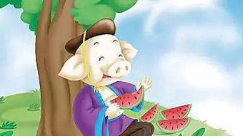 吃瓜唱歌的故事视频,一场别开生面的故事视频盛宴